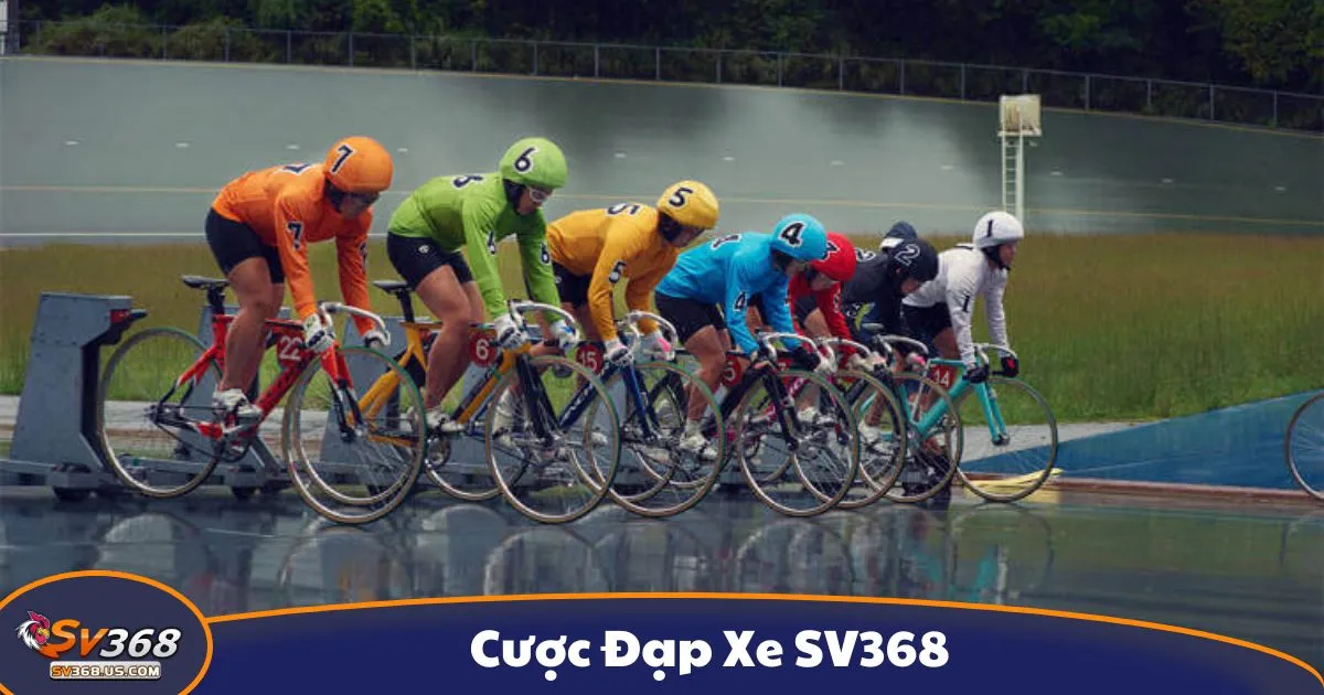Cá cược đua xe đạp là gì? Hình thức cược thể thao tốc độ tại SV368