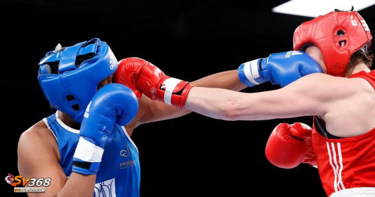 Lợi ích của việc cá cược quyền anh trên SV368