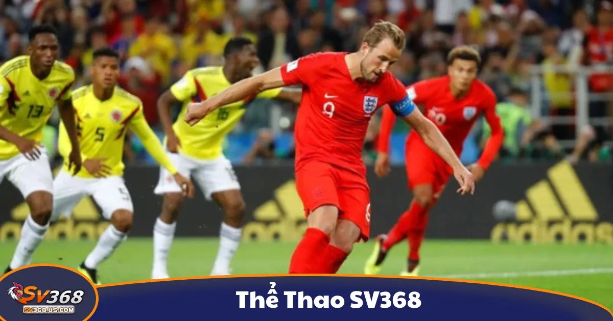 Các Hình Thức Cá Cược Thể Thao Phổ Biến