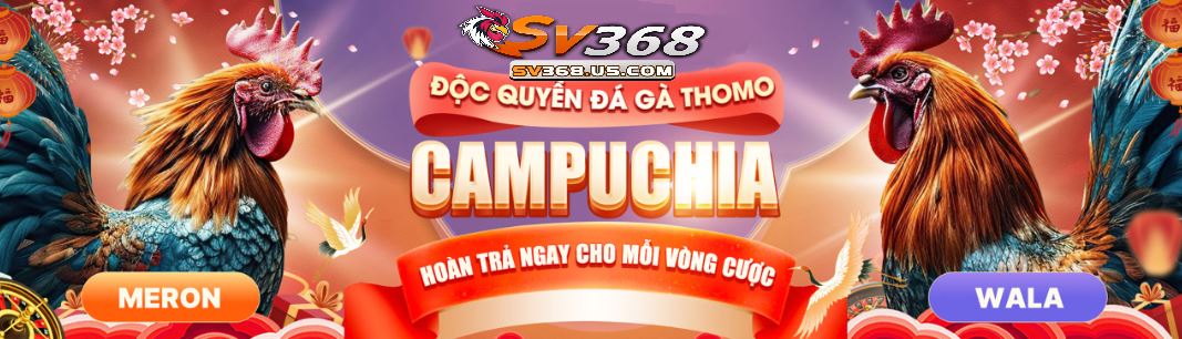 Giới thiệu tổng quan về SV368
